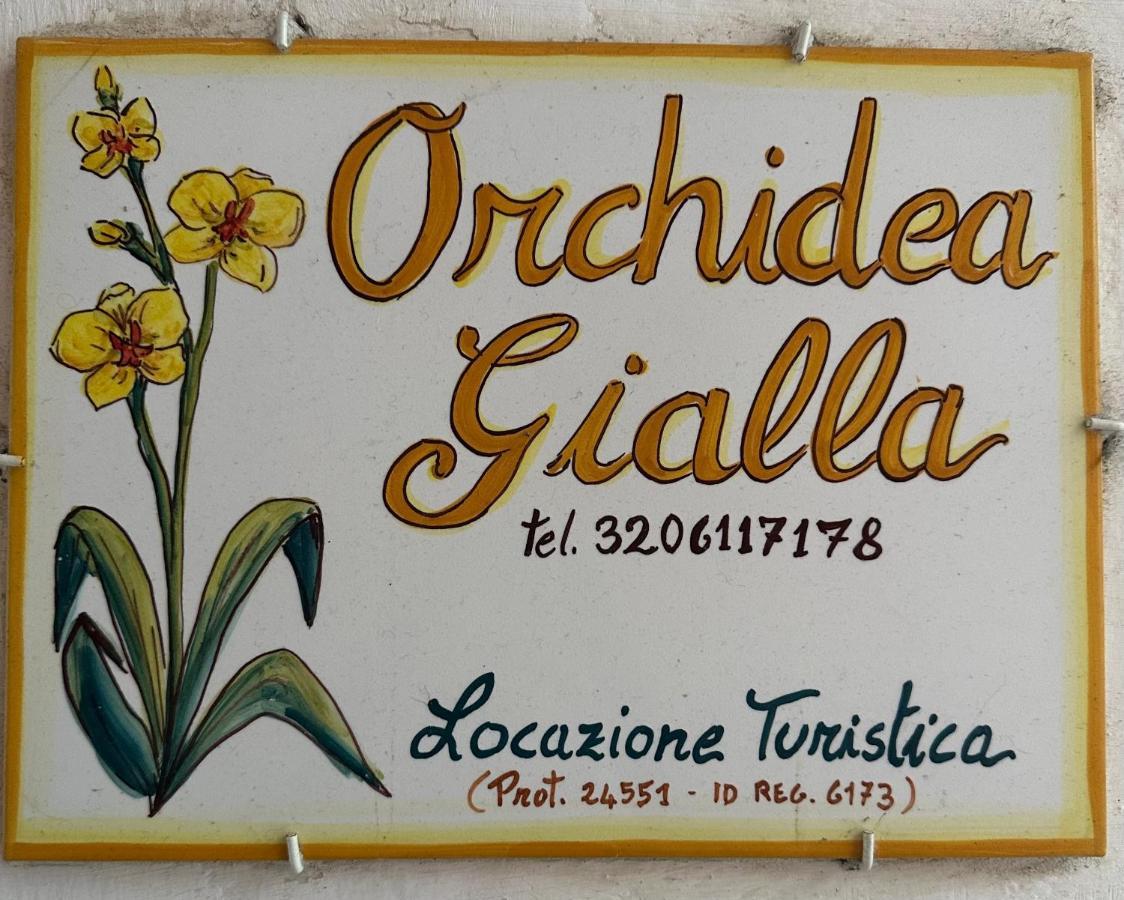 Orchidea Gialla Gaeta Bagian luar foto