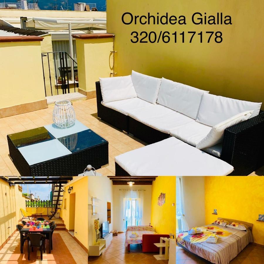 Orchidea Gialla Gaeta Bagian luar foto