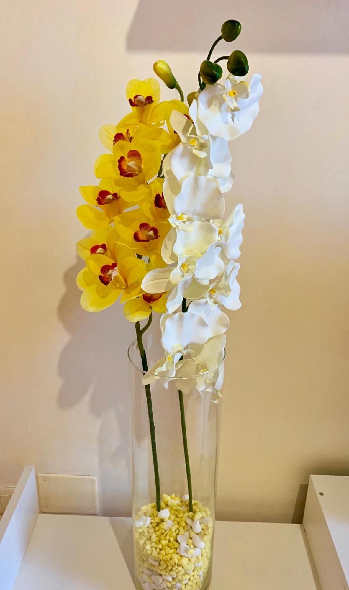 Orchidea Gialla Gaeta Bagian luar foto